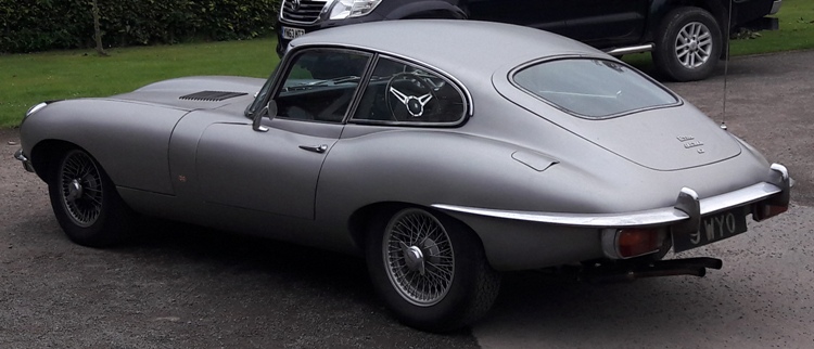 Rear View ppp.jpg