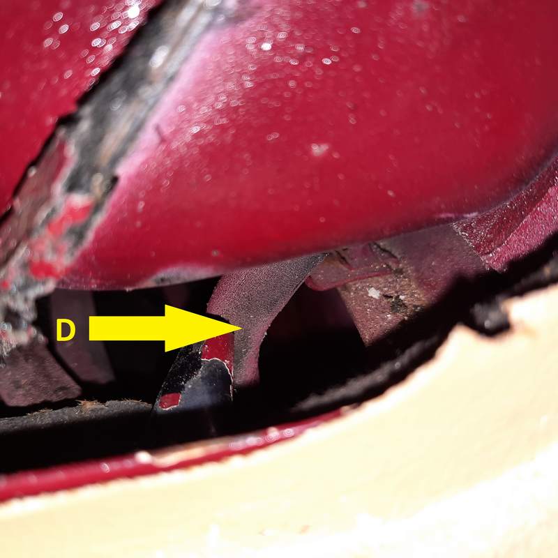 tn2_20210409_114724 annotated.jpg