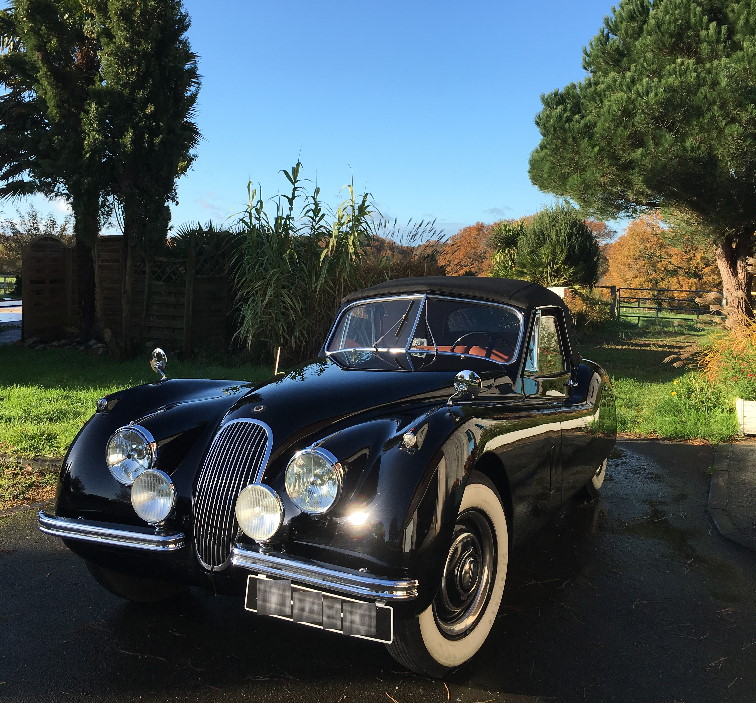 VIGNETTE XK120.jpg