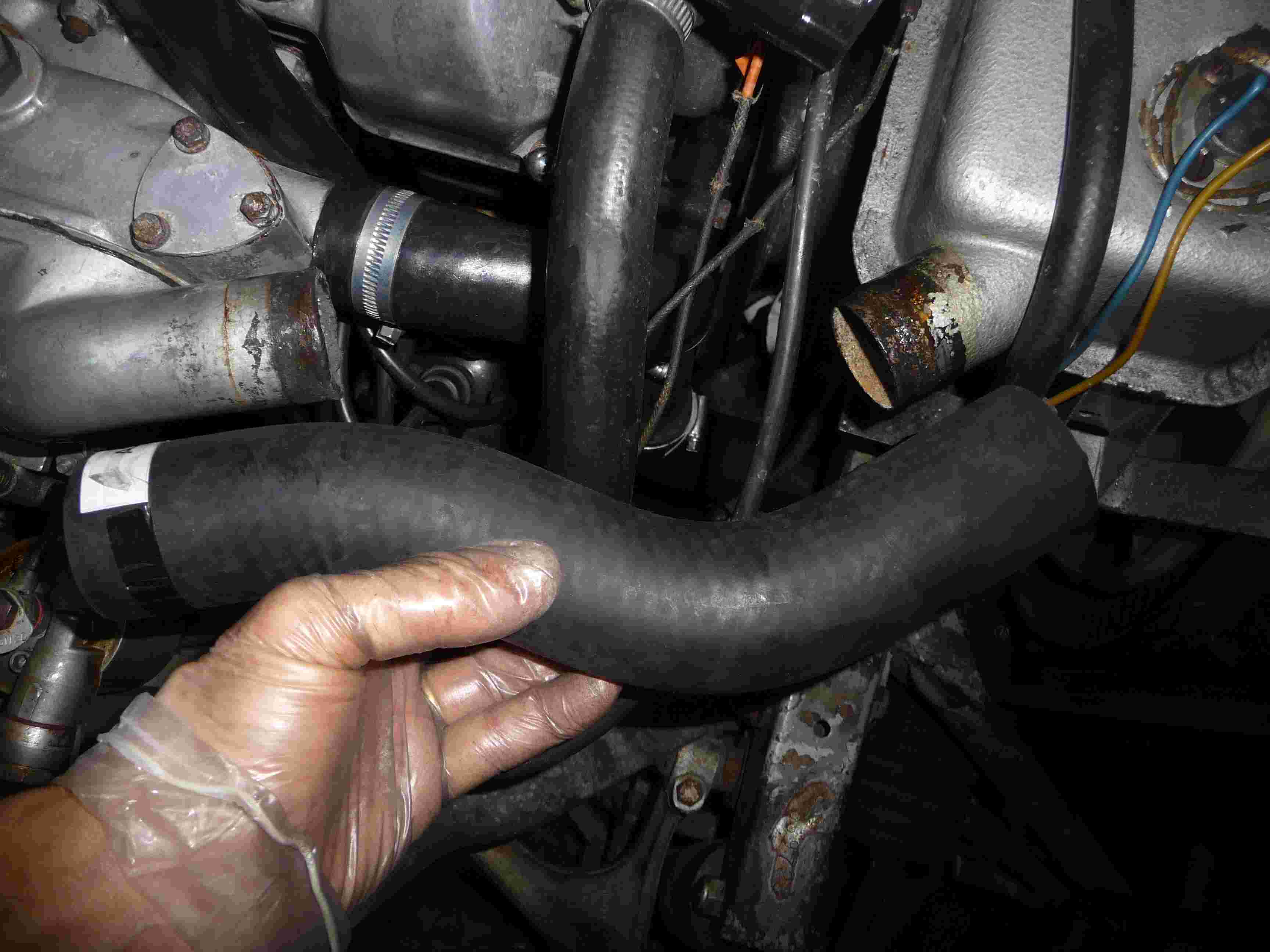top hose.jpg