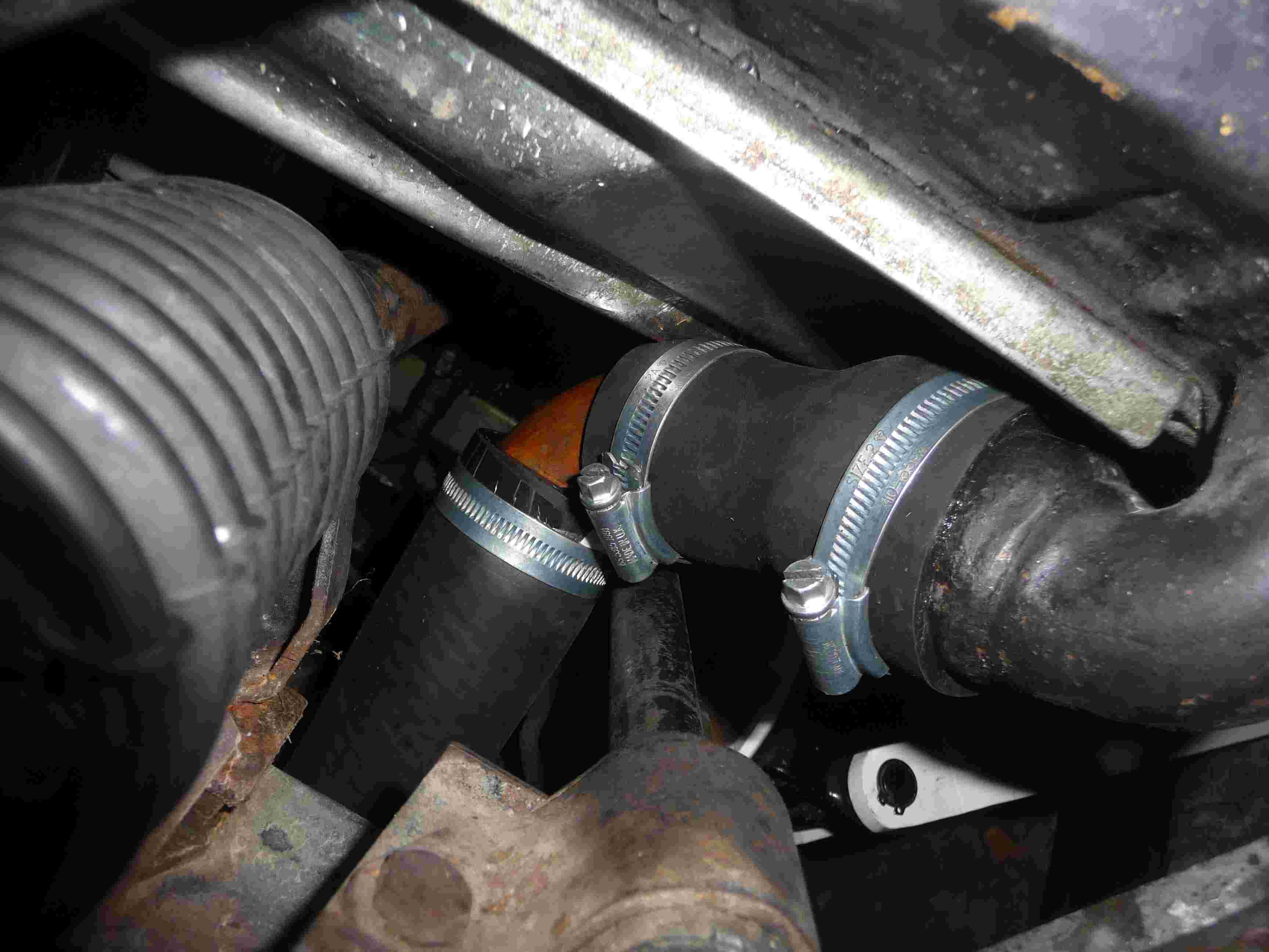 bottom hose.jpg